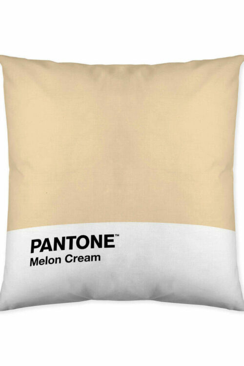 Capa de travesseiro Melon Cream Pantone 63836415 50 x 50 cm