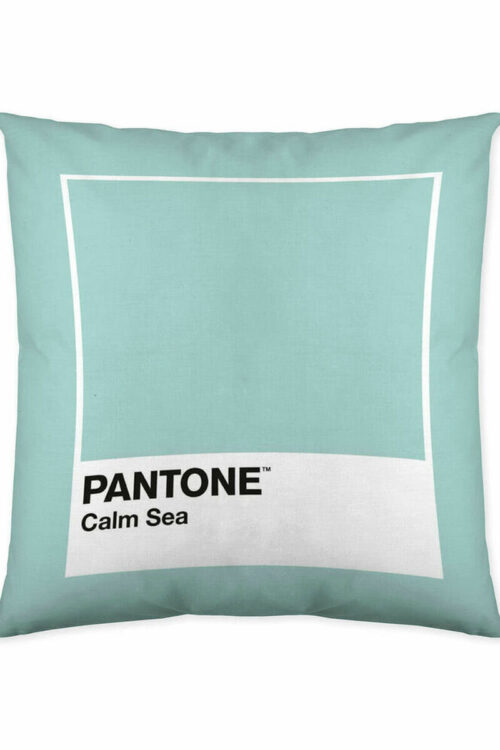Capa de travesseiro Calm Sea Pantone 63836298 50 x 50 cm